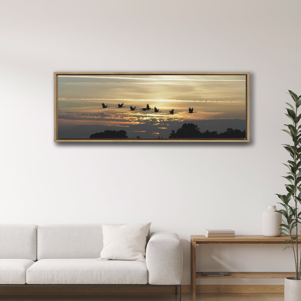 Geese in Line Formation
