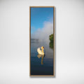 Gliding White Swan