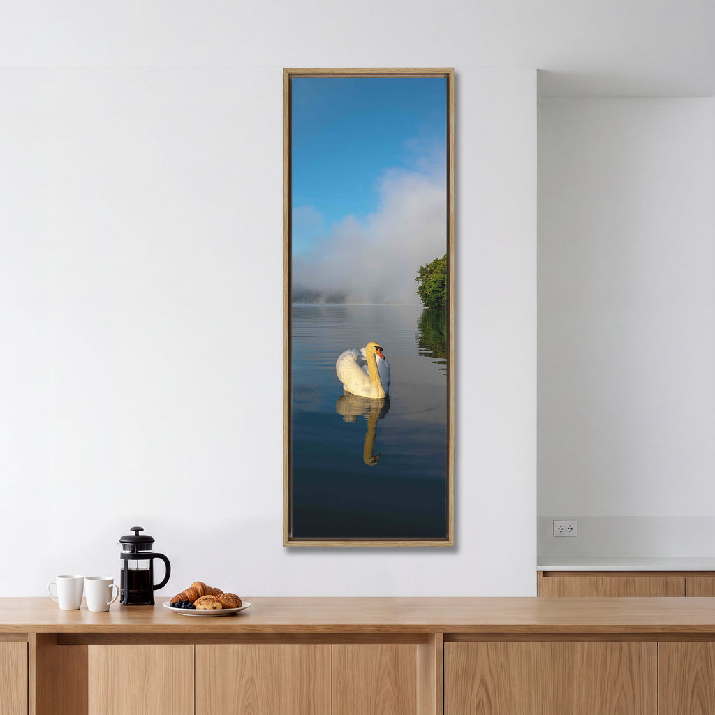 Gliding White Swan