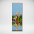 Grey Heron in shallow water