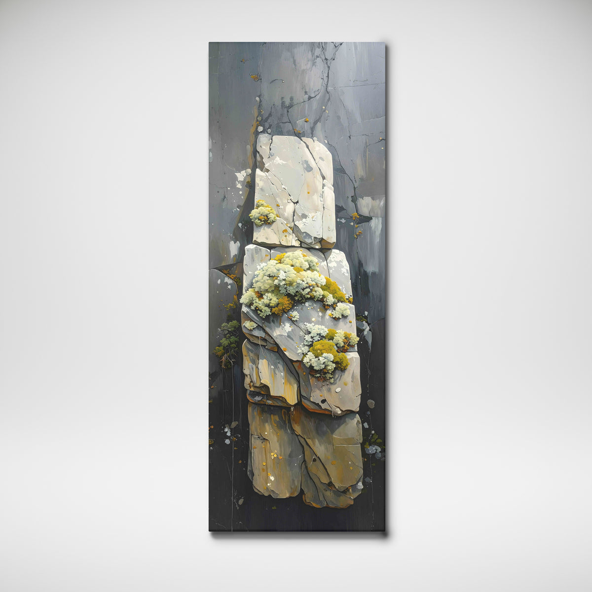 Lichen Study