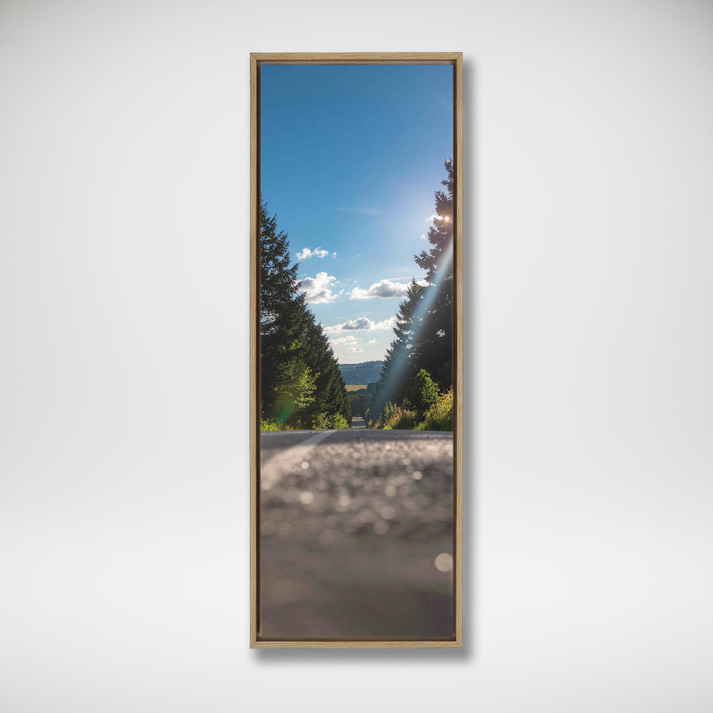 Vertical framed photograph of a straight road between evergreen trees with sunlight beneath a blue sky.