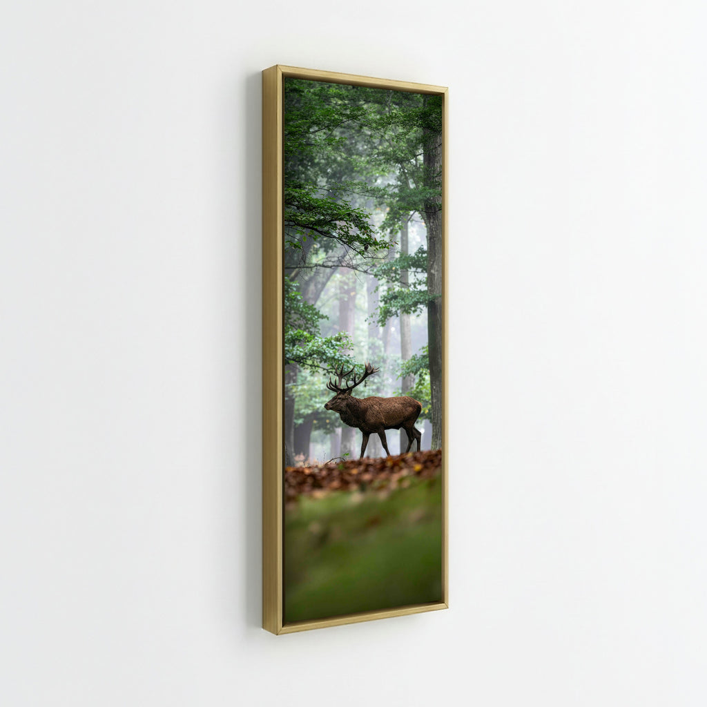 Majestic Red Deer Stag
