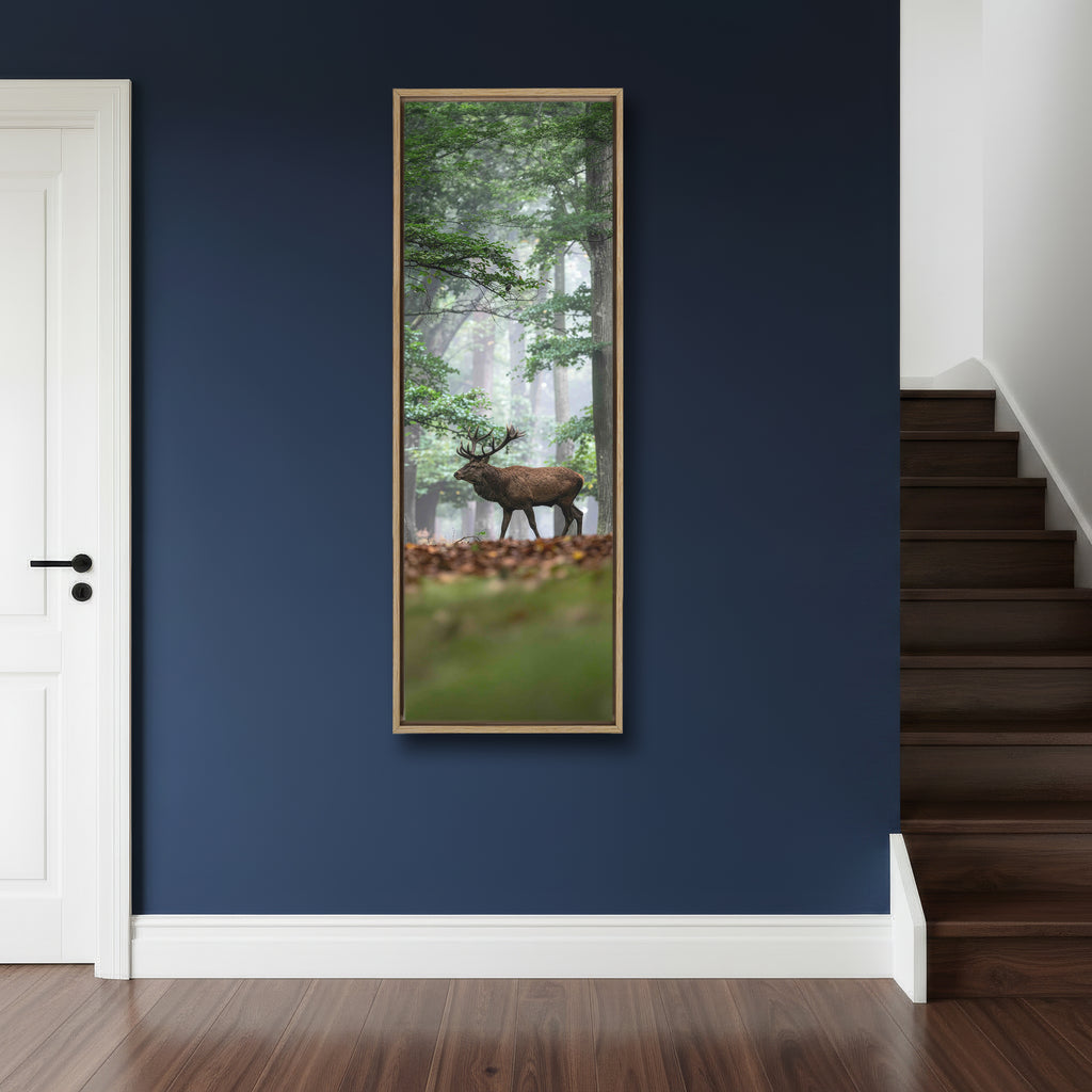 Majestic Red Deer Stag