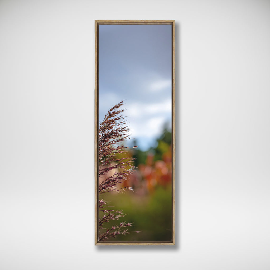 Meadow Grass