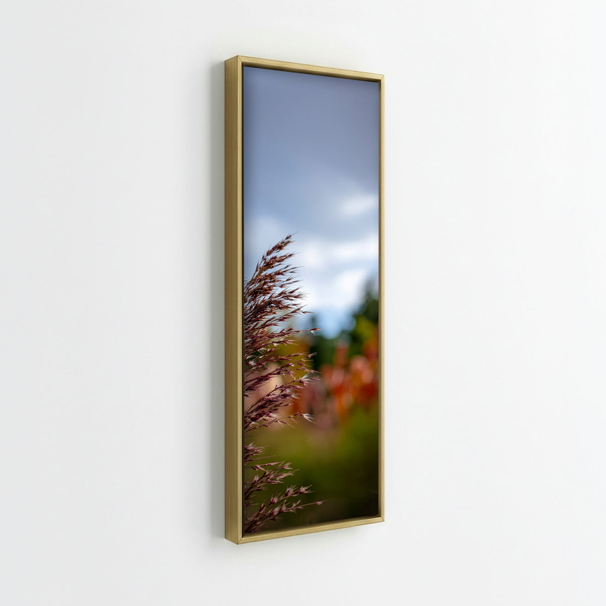 Meadow Grass