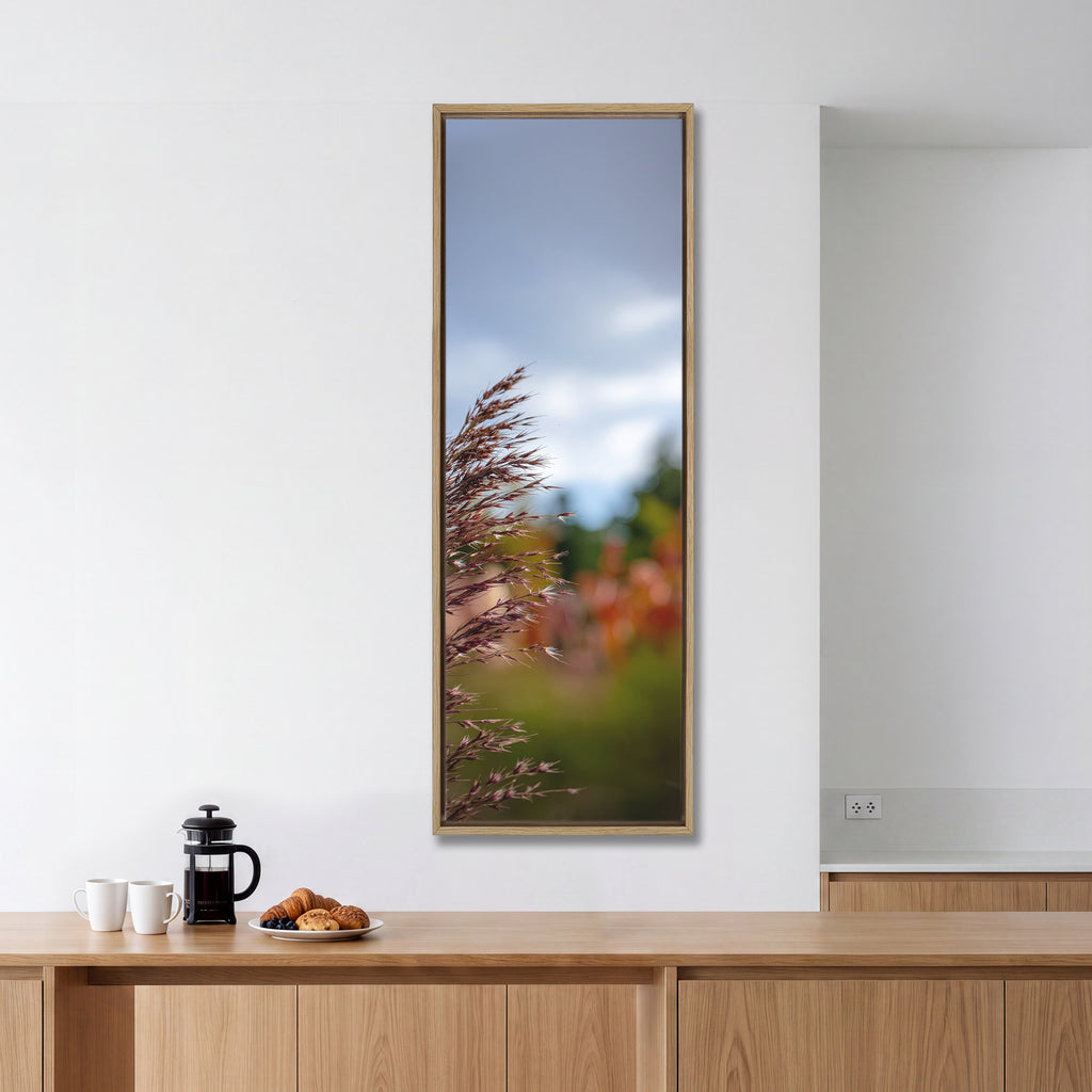 Meadow Grass