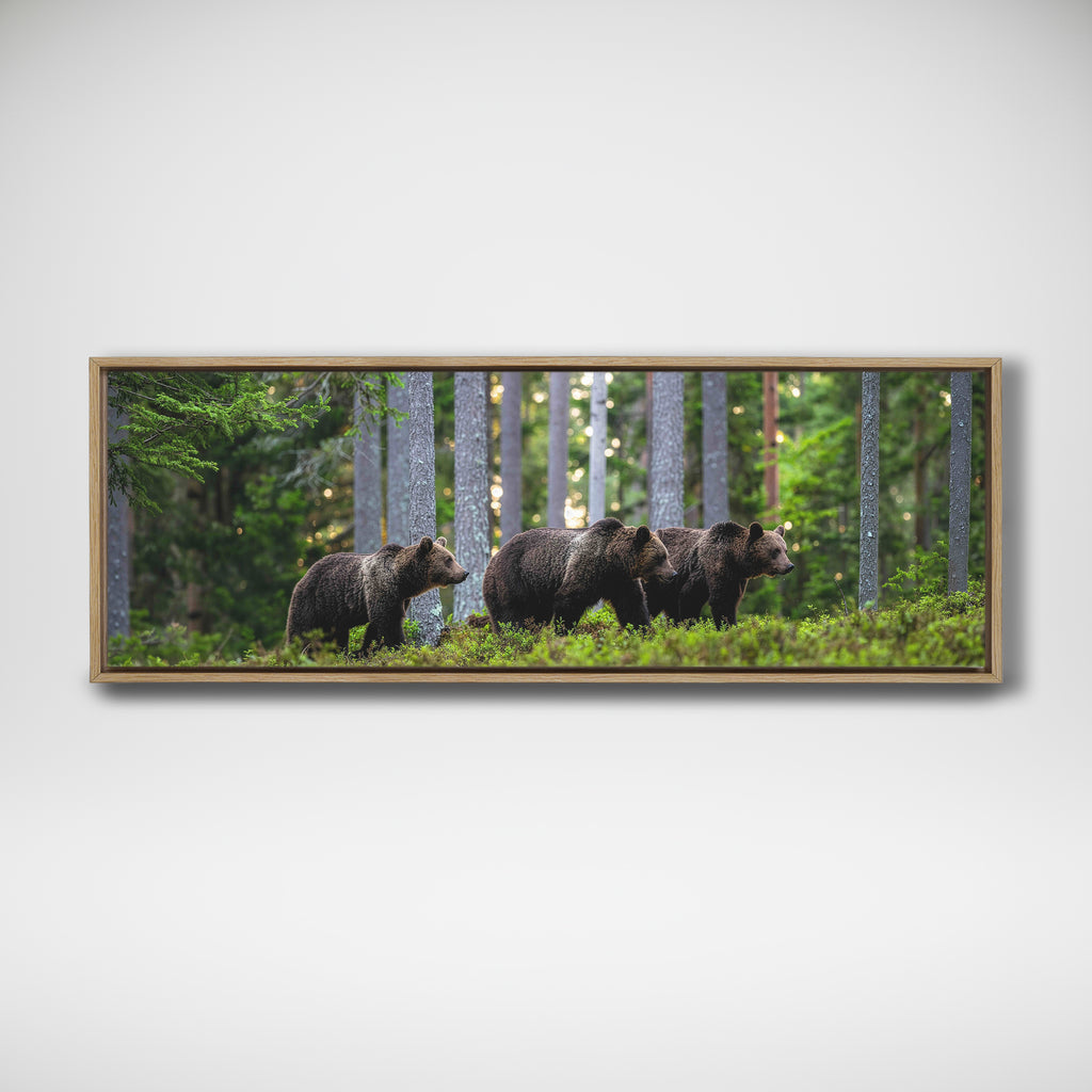 Mother Bear and Cubs
