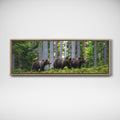 Mother Bear and Cubs