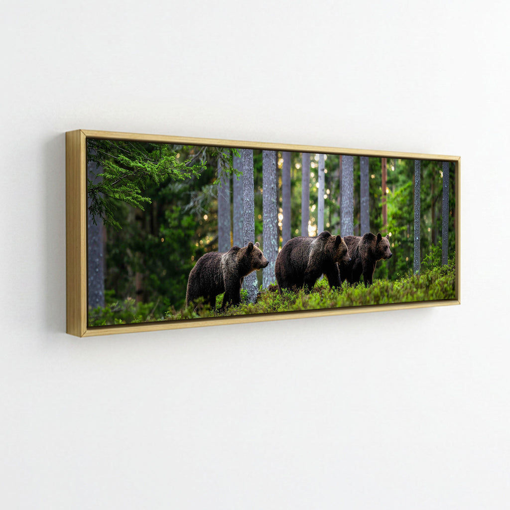Mother Bear and Cubs