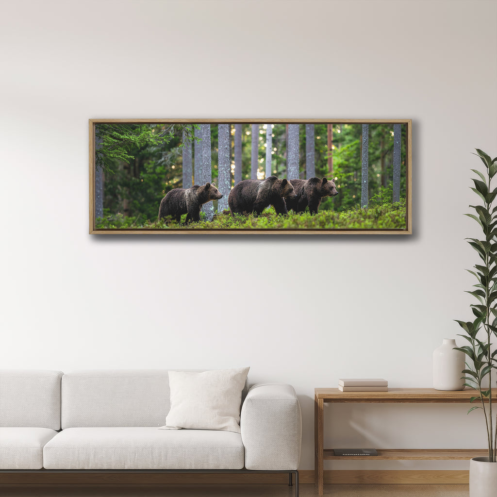 Mother Bear and Cubs