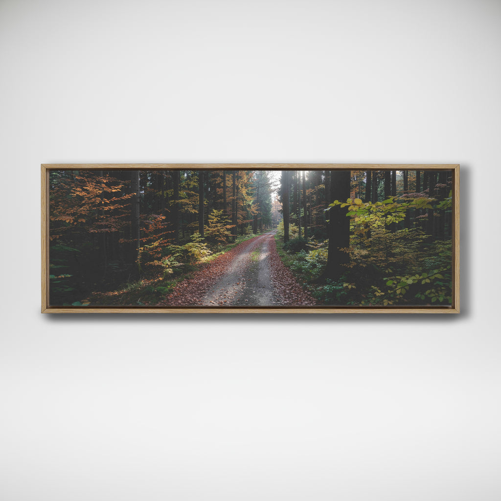 Framed panoramic photograph of a leaf-strewn forest track between tall trees in soft sunlight.