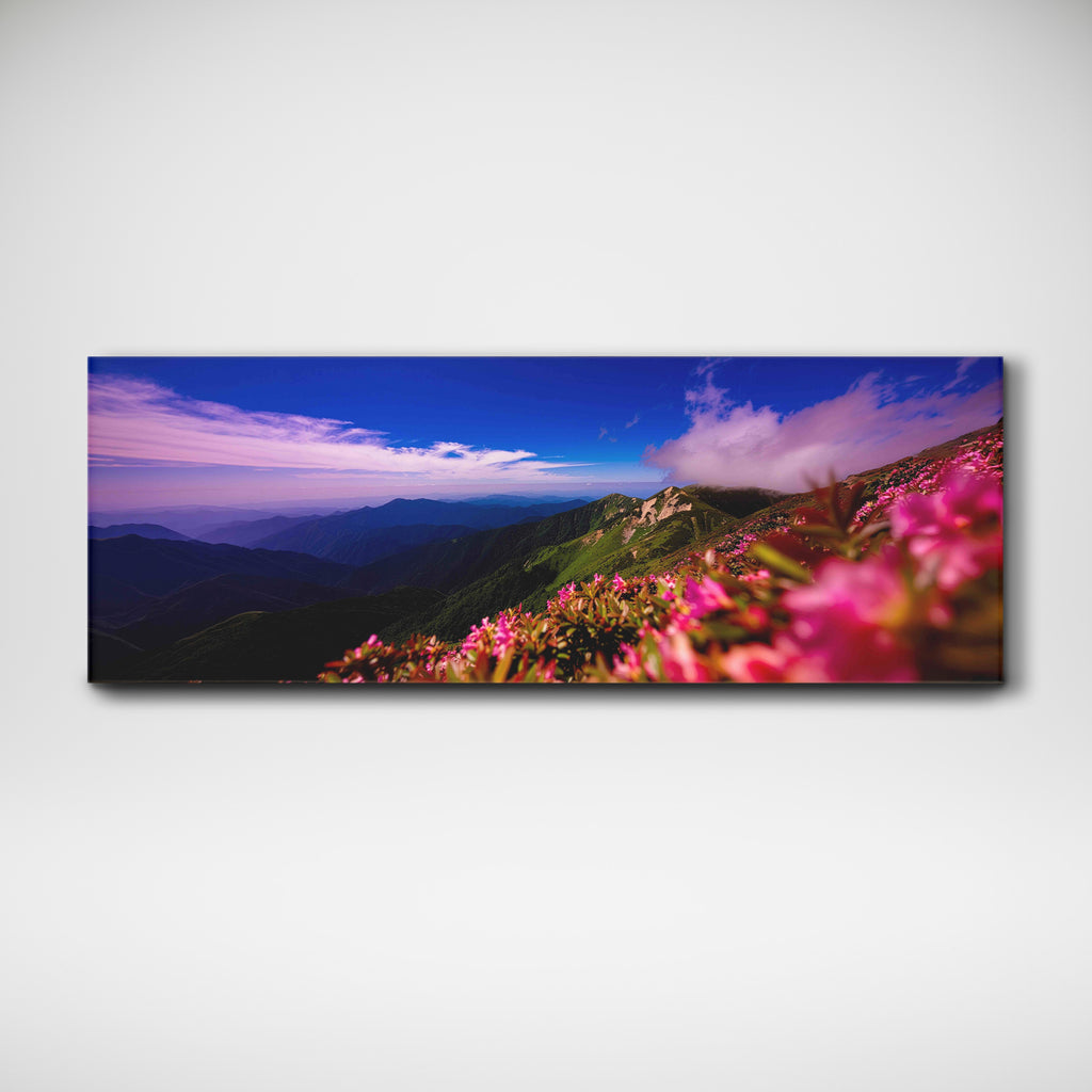 Pink flowers on Mountain top