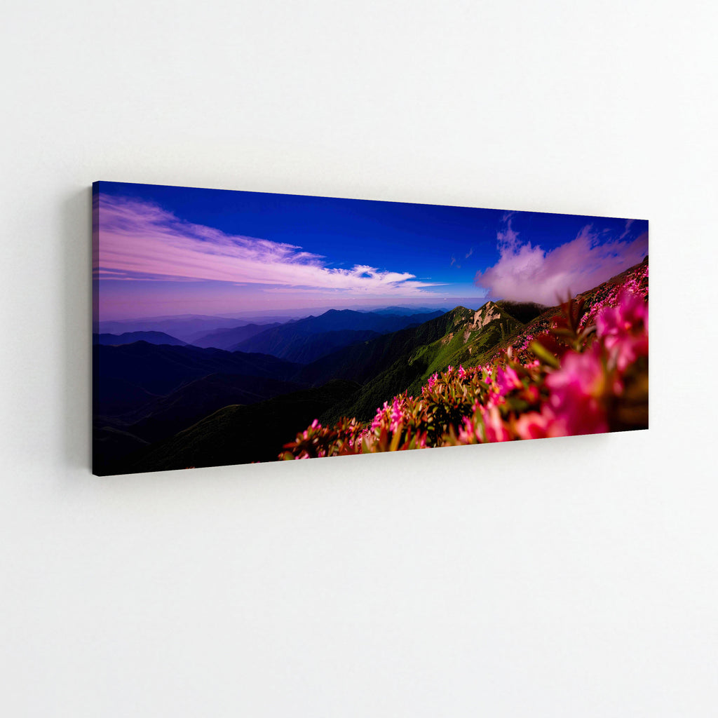 Pink flowers on Mountain top
