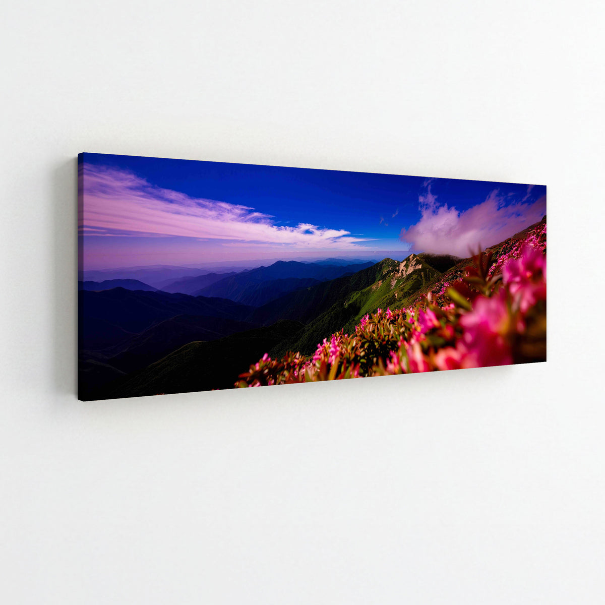 Pink flowers on Mountain top