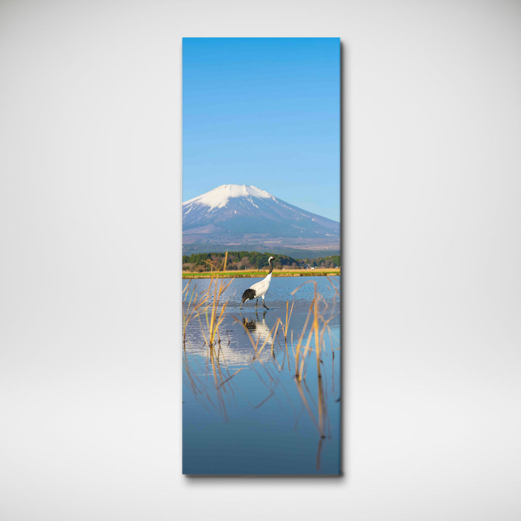 Red Crowned Crane under Mount Fuji