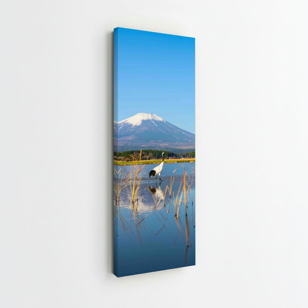 Red Crowned Crane under Mount Fuji