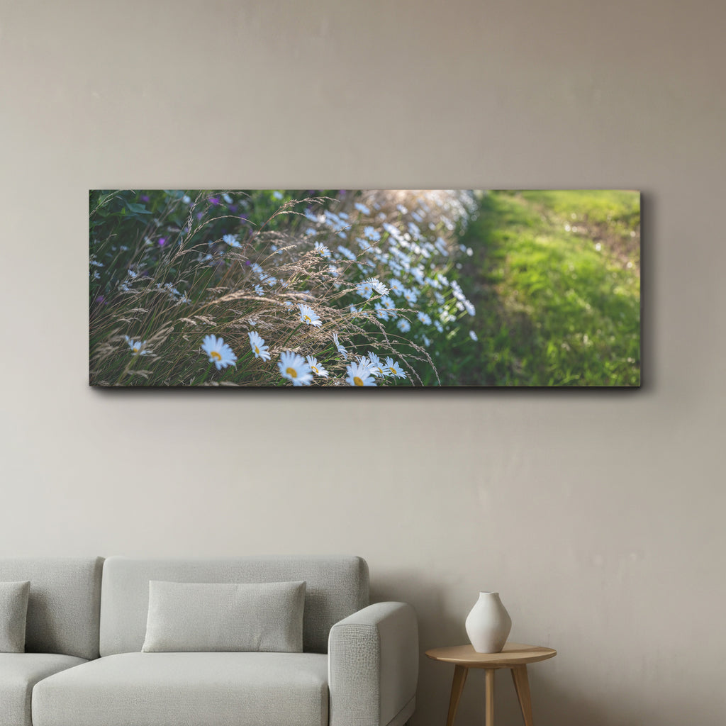Row of Daisies