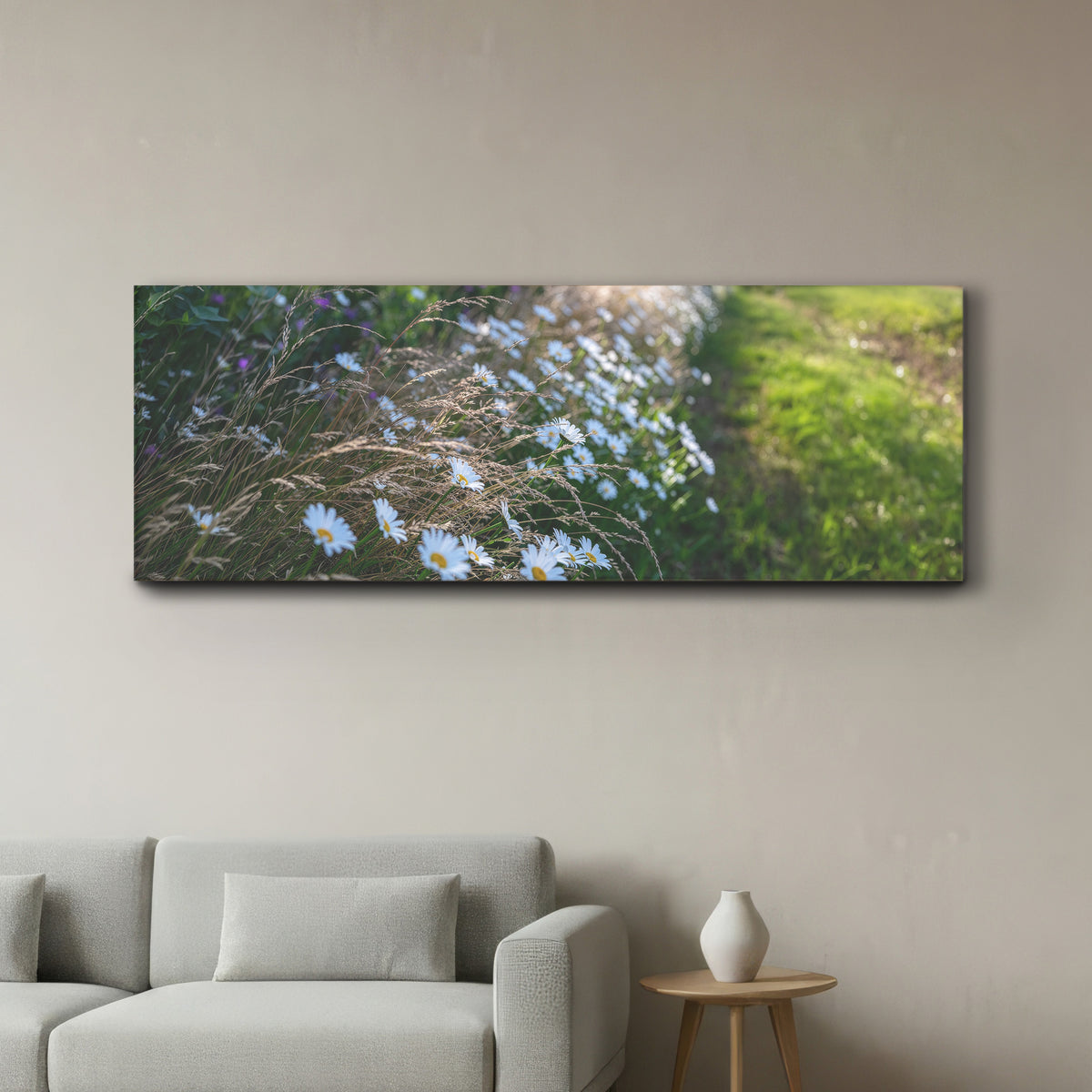 Row of Daisies