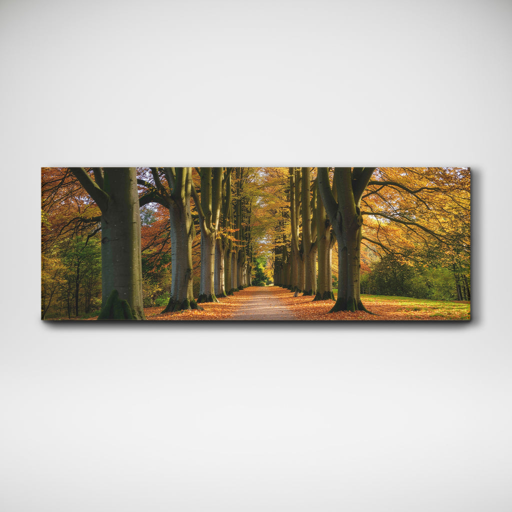 Scandinavian Forest Path