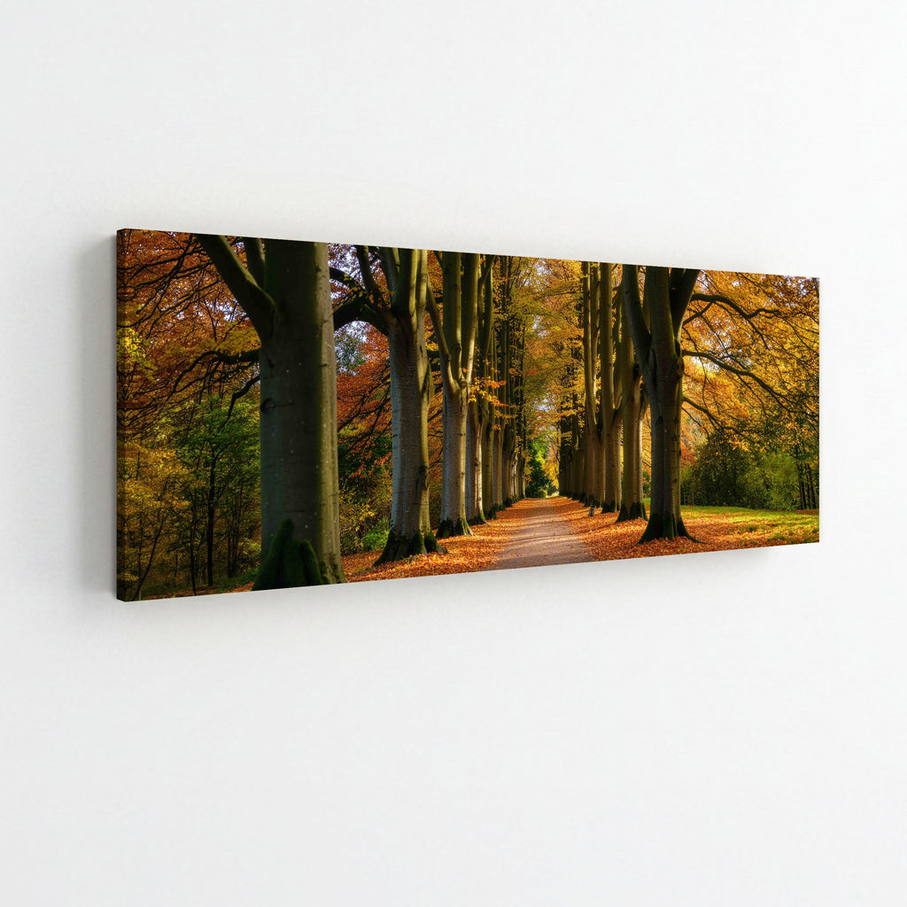 Scandinavian Forest Path